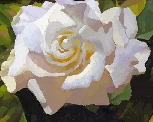 Aesthetic Gardenia Flower Art paint by number