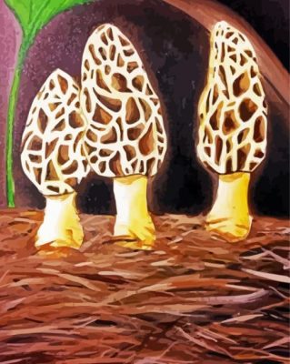 Aesthetic Morel Mushroom Art paint by number