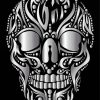 Aesthetic Silver Skull paint by number