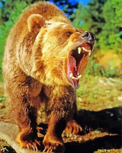 Angry Bear Wild Animal paint by number