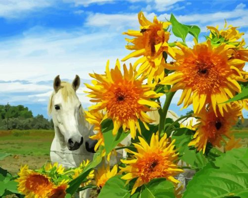 Beautiful Horse Sunflower paint by number