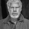 Black And White Ron Perlman Hellboy paint by number