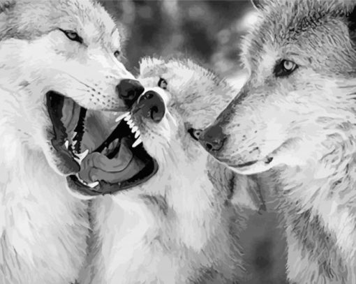 Black And White Wolves Face To Face paint by number