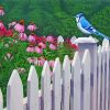 Blue Bird On White Picket Fence paint by number