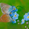 Butterflies On Forget Me Nots Flowers paint by number