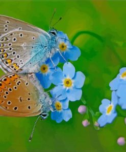 Butterflies On Forget Me Nots Flowers paint by number