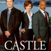 Castle Tv Show Serie paint by number