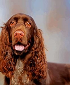 Chocolate Brown Field Spaniel paint by number