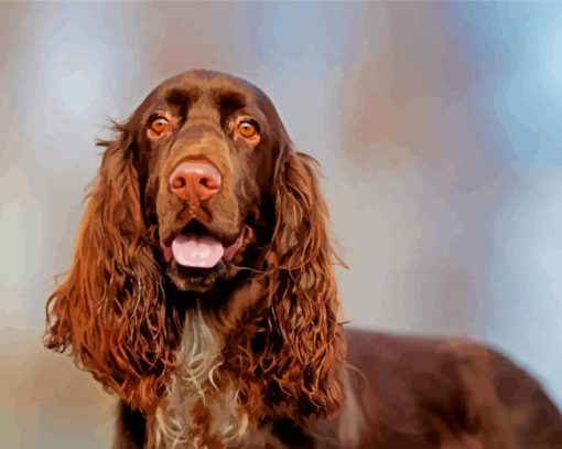 Chocolate Brown Field Spaniel paint by number