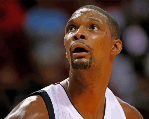 Chris Bosh Player paint by number