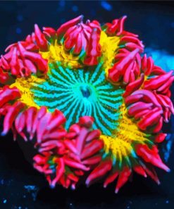 Colorful Anemone paint by number