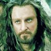Cool Thorin Scudodiquercia paint by number