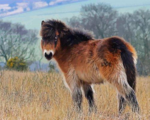 Cute Exmoor Pony paint by number