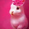 Cute Pink Rabbit paint by number