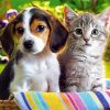 Cute Puppy And Kitten paint by number