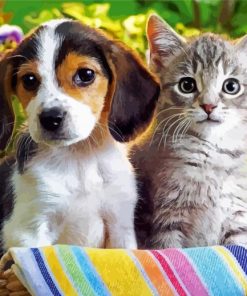 Cute Puppy And Kitten paint by number