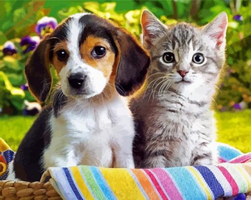 Cute Puppy And Kitten paint by number