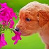 Cute Puppy And Plant paint by number