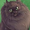 Fluffy Black Cat paint by number