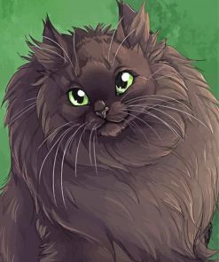 Fluffy Black Cat paint by number