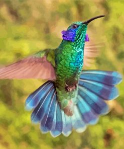 Flying Mexican Violetear paint by number