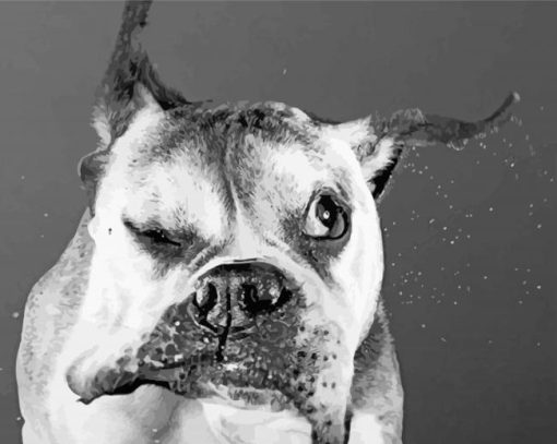 Funny Black And White Dog paint by number