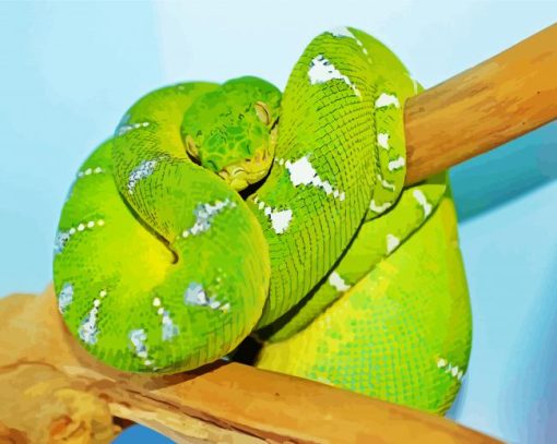 Green Rattlesnake paint by number