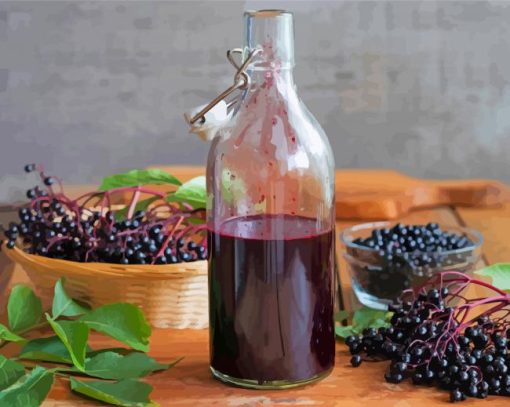 Homemade Elderberry Syrups paint by number