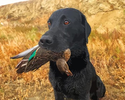 Labrador Hunting Bird paint by number