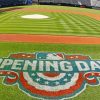 Opening Day paint by number