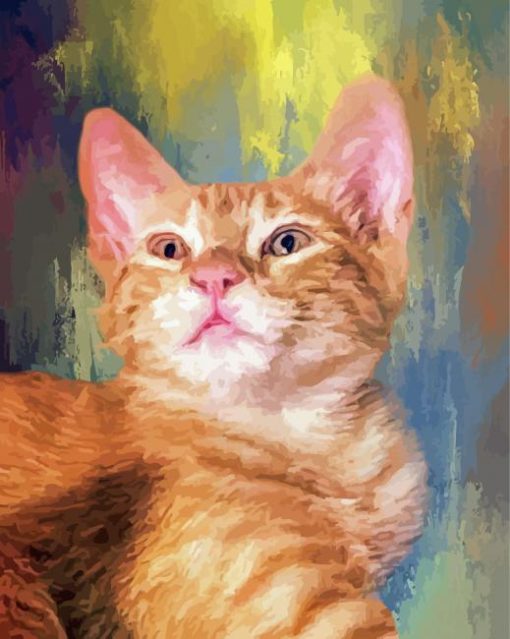 Orange Kitten paint by number