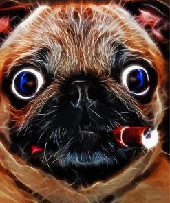 Pug With A Cigar Smoking paint by number