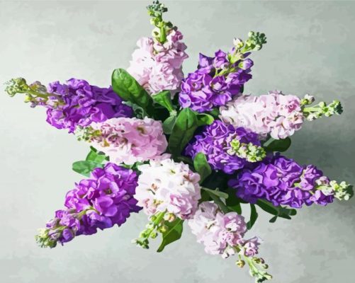 Stock Flowering Plant paint by number