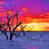 Sunset Menindee Lake paint by number