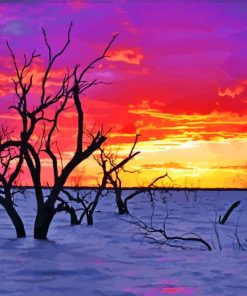 Sunset Menindee Lake paint by number