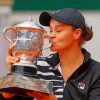 The Champion Ashleigh Barty paint by number