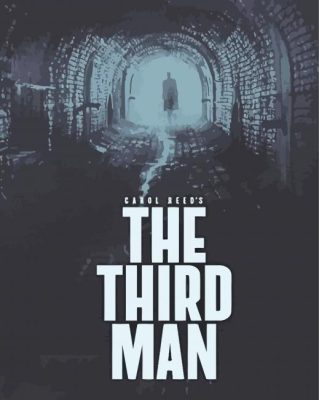 The Third Man Poster paint by number