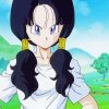 Videl Dragon Ball paint by number