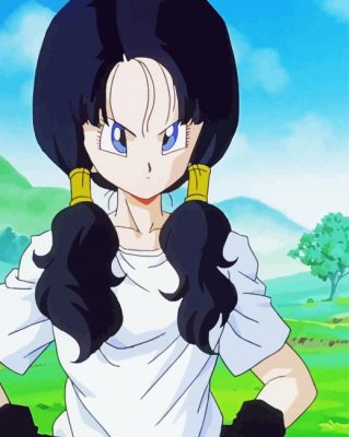 Videl Dragon Ball paint by number