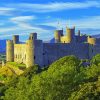 Wales Harlech Castle paint by number