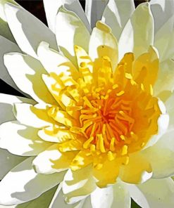 White Tiger Lotus Flower paint by number