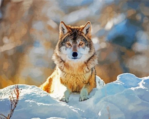 Wolf In The Snow paint by number