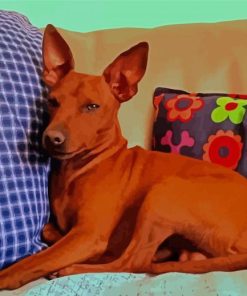 Basenji Puppy paint by number