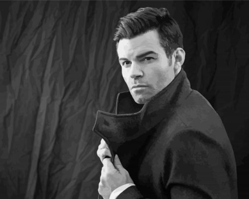 Black And White Daniel Gillies paint by number