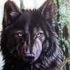 Black And Brown Wolf paint by number