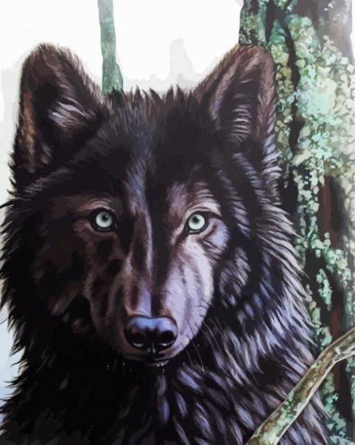 Black And Brown Wolf paint by number