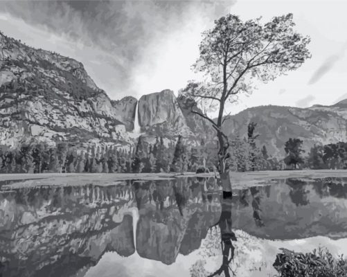 Black And White Landscape Reflection paint by number