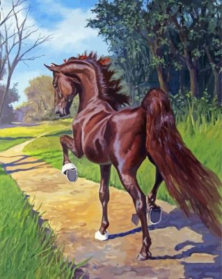 Brown American Saddlebred Horse Paint by number