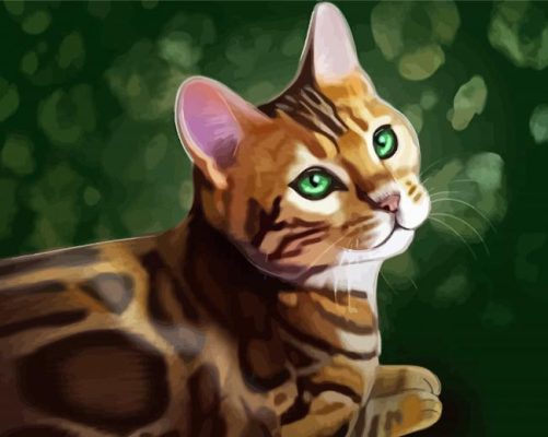 Cat Bengal Illustration Art Paint by number