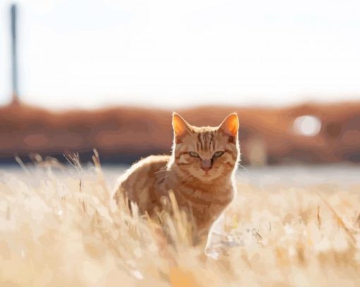 Cat In Field paint by number